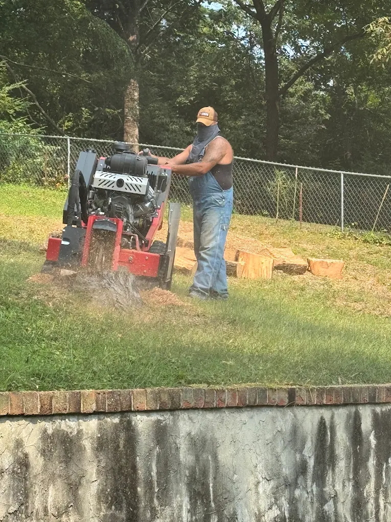 Woods Tree Service work