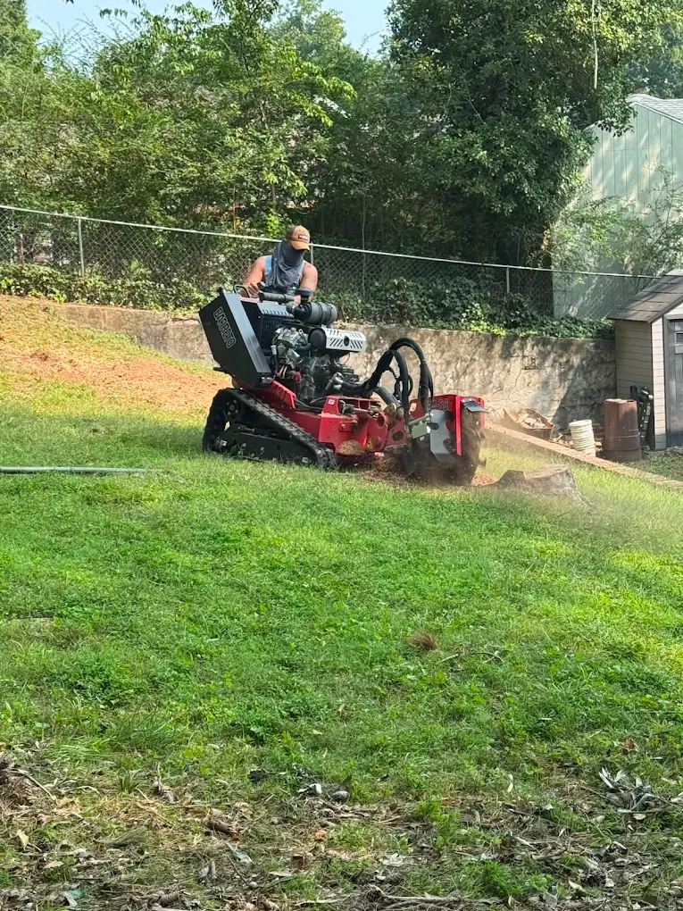 Woods Tree Service work